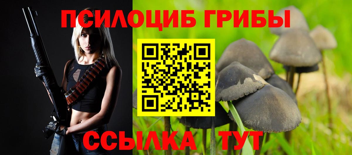 Егорьевск  Псилоцибиновые грибы мухоморы  Вход с VPN 